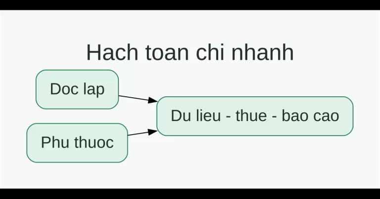 So sánh chi nhánh hạch toán độc lập và hạch toán phụ thuộc theo dữ liệu, thuế và báo cáo quản trị